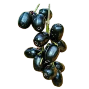 Picture of  जामुन